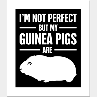 Cute And Funny Pet Guinea Pig Graphic Posters and Art